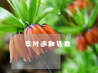 支付逾期货款 支付逾期货款