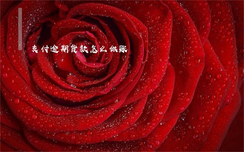 支付逾期货款怎么做账