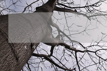 支付逾期货款欠款报告