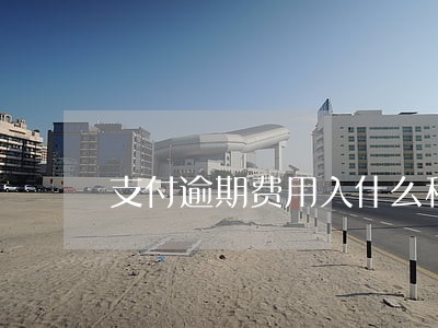 支付逾期费用入什么科目 支付逾期费用入什么科目