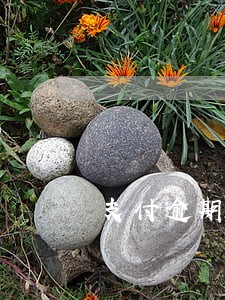 支付逾期还款利息 支付逾期还款利息