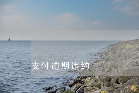 支付逾期违约 支付逾期违约