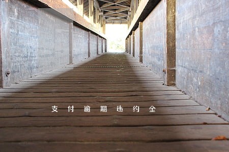 支付逾期违约金 支付逾期违约金