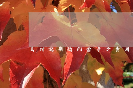 支付逾期违约金多少费用 支付逾期违约金多少费用