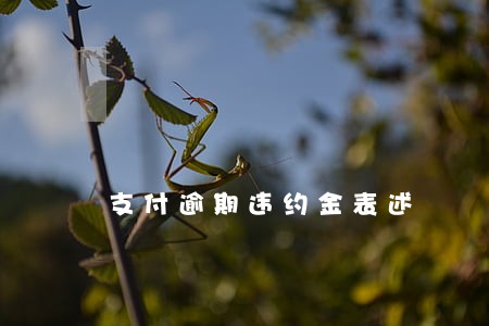 支付逾期违约金表述 支付逾期违约金表述