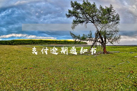 支付逾期通知书 支付逾期通知书