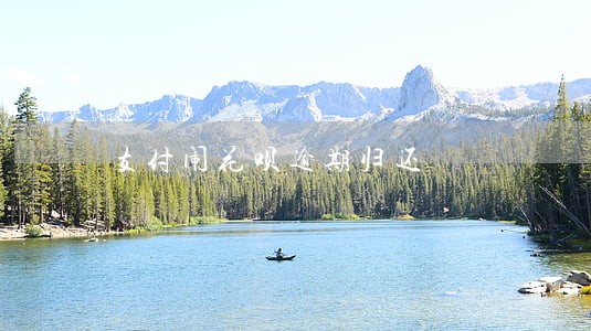 支付闹花呗逾期归还 支付闹花呗逾期归还