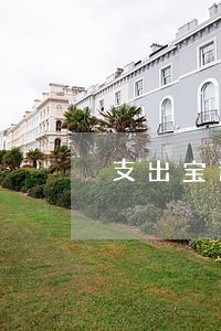 支出宝逾期一年有什么后果 支出宝逾期一年有什么后果