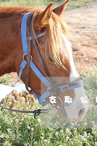 支取公积金有逾期能取吗 支取公积金有逾期能取吗