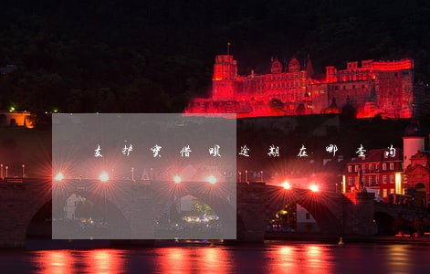 支护宝借呗逾期在哪查询 支护宝借呗逾期在哪查询