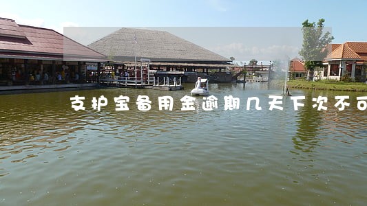 支护宝备用金逾期几天下次不可用 支护宝备用金逾期几天下次不可用
