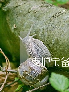 支护宝备用金逾期费用怎么算 支护宝备用金逾期费用怎么算