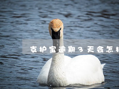 支护宝逾期3天会怎样 支护宝逾期3天会怎样