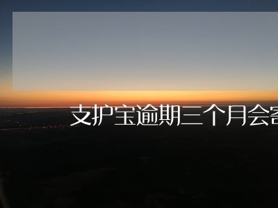 支护宝逾期三个月会寄文件到家吗 支护宝逾期三个月会寄文件到家吗