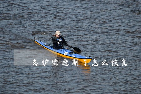 支护宝逾期了怎么恢复 支护宝逾期了怎么恢复
