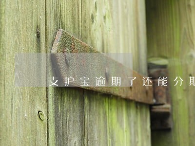 支护宝逾期了还能分期购买手机吗