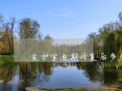 支护宝逾期修复后多久可以使用 支护宝逾期修复后多久可以使用