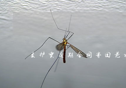 支护宝逾期合同寄回老家 支护宝逾期合同寄回老家