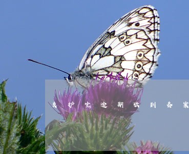 支护宝逾期收到备案通告是真的吗 支护宝逾期收到备案通告是真的吗