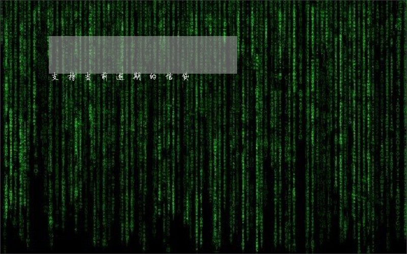 支持当前逾期的信贷 支持当前逾期的信贷