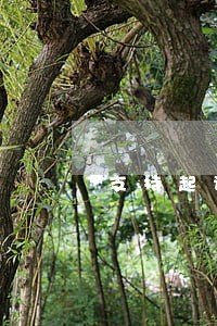 支持起诉如何运行有待法律细化 支持起诉如何运行有待法律细化