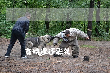 支持退还彩礼