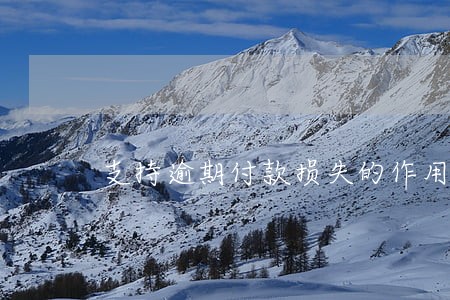 支持逾期付款损失的作用 支持逾期付款损失的作用