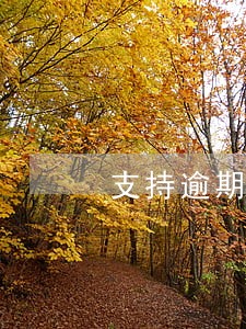 支持逾期利息的法律规定 支持逾期利息的法律规定