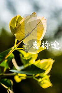 支持逾期违约金的判决 支持逾期违约金的判决