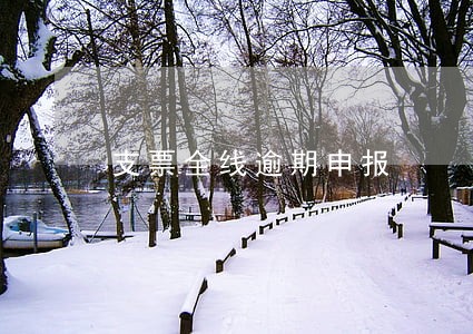 支票全线逾期申报 支票全线逾期申报