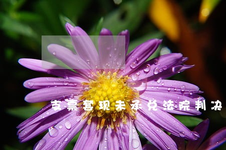 支票套现未承兑法院判决 支票套现未承兑法院判决