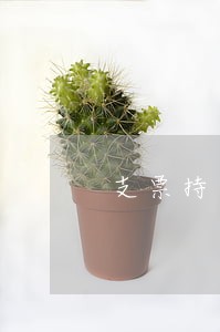 支票持票人逾期提示付款 支票持票人逾期提示付款