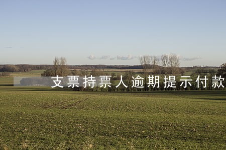 支票持票人逾期提示付款追索对象 支票持票人逾期提示付款追索对象