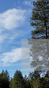 支票逾期情况说明格式 支票逾期情况说明格式