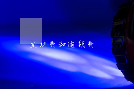 支纳费和逾期费