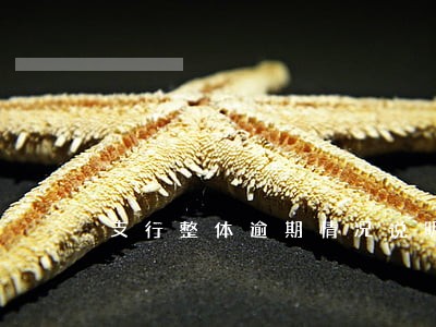 支行整体逾期情况说明