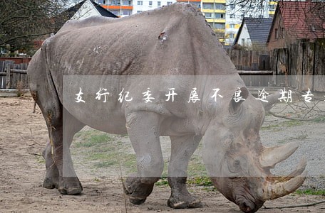 支行纪委开展不良逾期专题