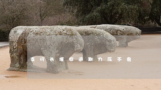 支行长催收逾期力压不良 支行长催收逾期力压不良
