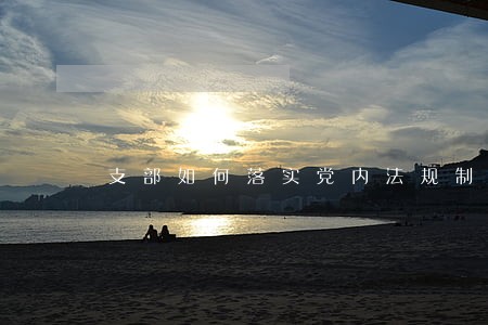 支部如何落实党内法规制度