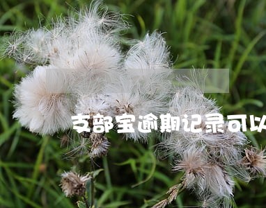 支部宝逾期记录可以申请消除吗