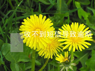 收不到短信导致逾期 收不到短信导致逾期