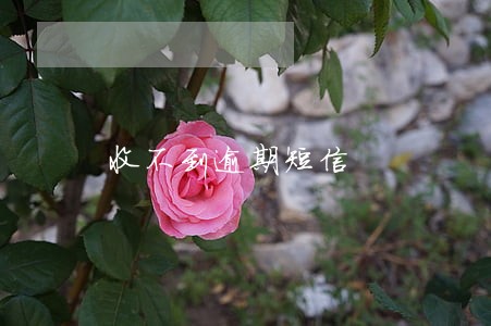 收不到逾期短信 收不到逾期短信