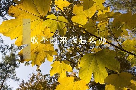 收不回来钱怎么办