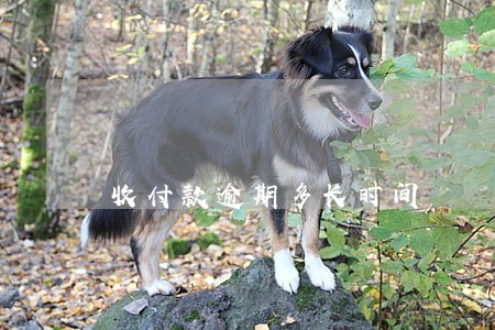 收付款逾期多长时间 收付款逾期多长时间
