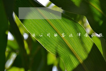 收债公司解答法律催收服务流程 收债公司解答法律催收服务流程