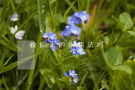 收偷来的铜违法吗 收偷来的铜违法吗