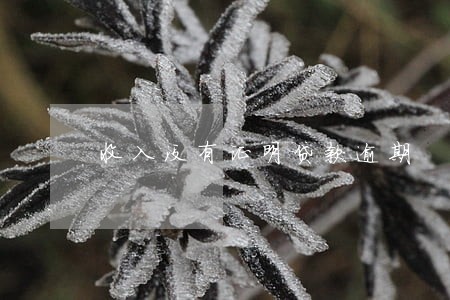 收入没有证明贷款逾期 收入没有证明贷款逾期