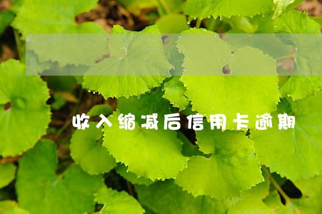 收入缩减后信用卡逾期 收入缩减后信用卡逾期