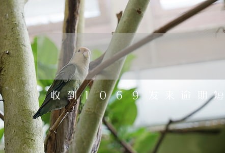 收到1069发来逾期短信 收到1069发来逾期短信