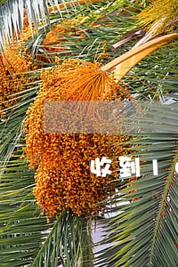收到10开头说我贷款逾期 收到10开头说我贷款逾期